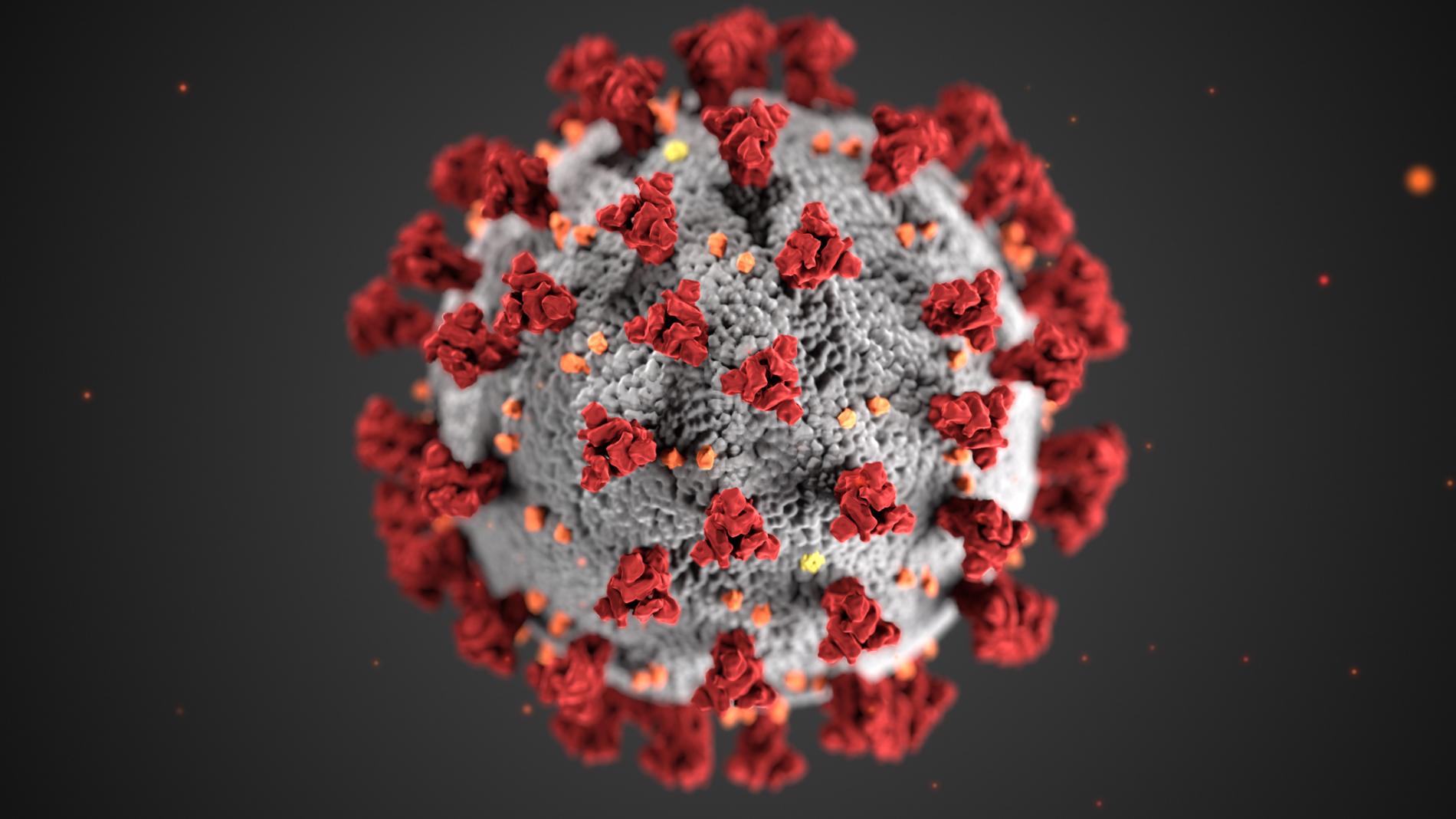 01_coronavirus_cdc_2871.adapt.1900.1