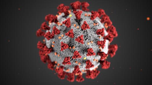 01_coronavirus_cdc_2871.adapt.1900.1